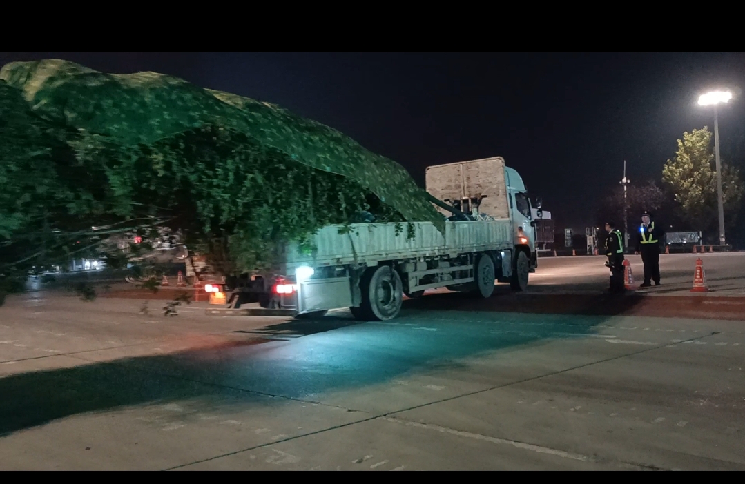 00311f67225adfe02ef2973f328049a8.jpg 00311f67225adfe02ef2973f328049a8.jpg