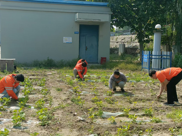 mmexport1748587906152_副本.jpg mmexport1748587906152_副本.jpg