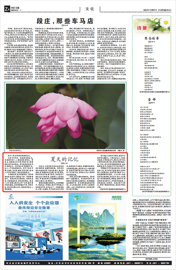 河北交通报 程亚丽《夏天的记忆》.png