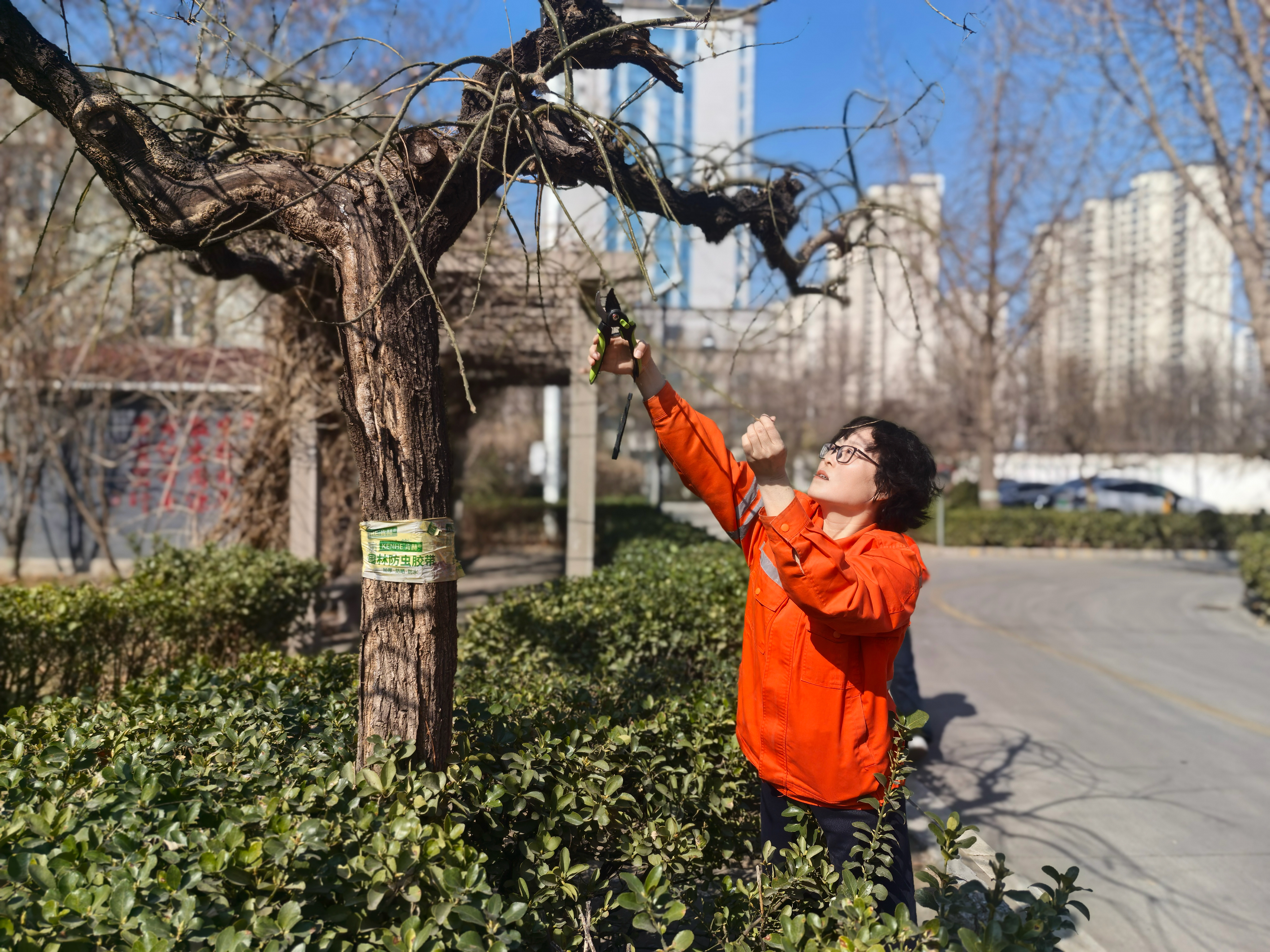 4290163377939c30a778b18becaa8b9.jpg 4290163377939c30a778b18becaa8b9.jpg